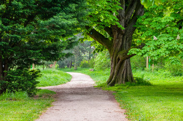 Fototapeta premium Footpath in Park