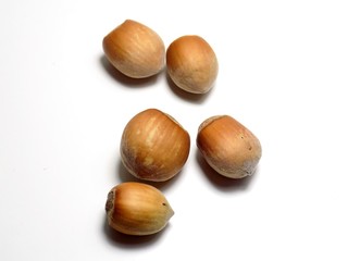 Isolated hazelnuts on white background, healthy nut food in nutshell