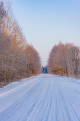 Obraz premium winter road in the woods