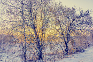 not frozen pond in winter