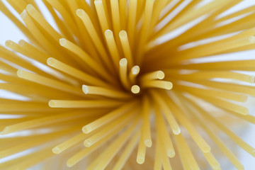 Macro of spaghetti