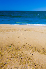 Beach and Beyond Beach