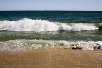 Beach and Beyond Beach