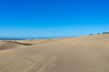 Maspalomas Dunes, Gran Canaria