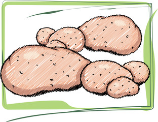 Organic Food illustration