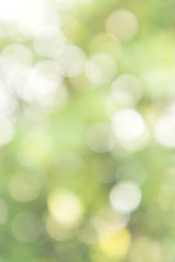 Texture bokeh style , Green natural bokeh background