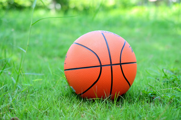 Orange basketball on  the green grass.
