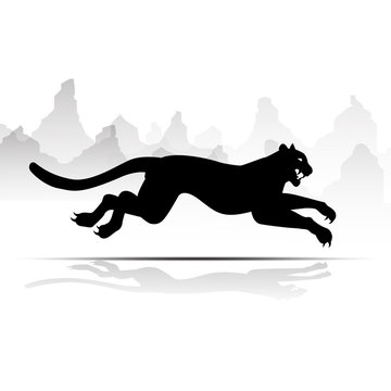 Silhouette Cheetah, Panther, design using black line square, graphic vector.
