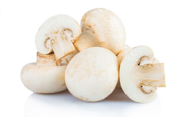 Mushrooms isolated on white background