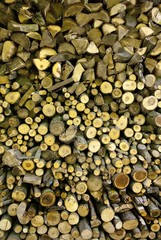 Dry firewood in a pile for furnace kindling