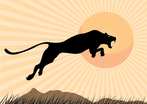 Silhouette Cheetah, Panther, graphic vector.