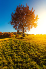 Naklejka premium autumn colors in slovak meadows