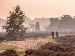 Couple strolling along path through heathland