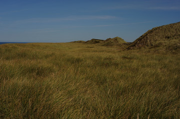 traumhafte Dünen auf Sylt - Rantum