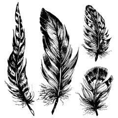 Hand drawn ink feathers set