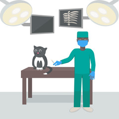Veterinarian with a cat in a medical office. Vector illustration.