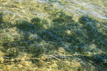 Clear sea water background