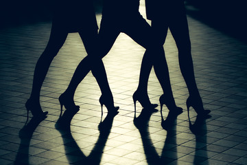 Female legs in shoes