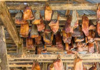 Iceland's fermented shark © michaklootwijk
