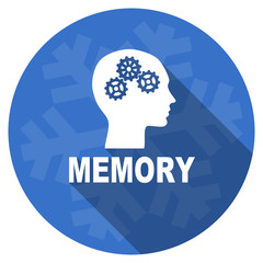 memory blue flat design christmas winter web icon with snowflake