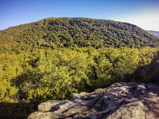 nature trail scenes to calloway peak north carolina