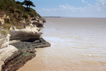 troglodyte à Talmon sur gironde