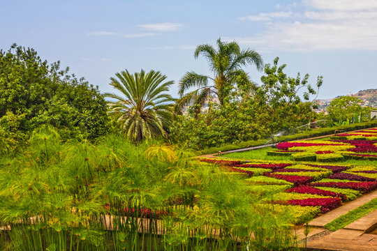 Madeira, Botanical Garden Monte, Funchal, Portugal