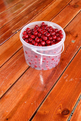 Plastic bucket with freshly collected ripe cherries on the wooden table in the summer garden