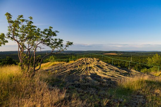 Hirtstein