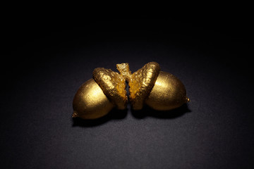 two golden acorns on a black background