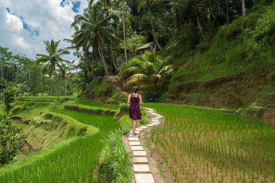 Promenade dans les rizières de Tegalalang, Bali, Indonésie