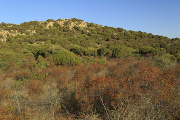 South coast, Sardinia, Italy