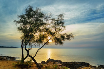 Fototapeta na wymiar Sunset on the sea. The rocky coast of Mallorca and a pine on the