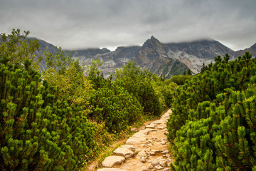 Fototapeta na wymiar Mountain landscape in a cloudy day.