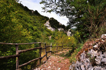 Fototapeta premium sentiero con staccionata in legno nel parco naturale nell alto Cilento