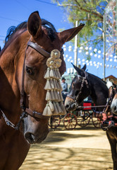 April fair of Utrera in Seville decoration and horses