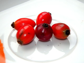 Rose Hips