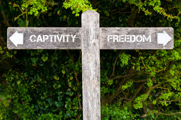 CAPTIVITY versus FREEDOM directional signs