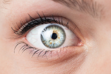 Fototapeta premium Close-up of a beautiful female blue eye