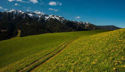 Countryside at Dolomites