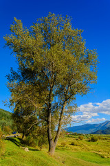 Amazing nature, Armenia