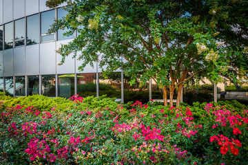 Garden at Freedom Park and modern building in Rosslyn, Arlington
