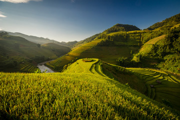 Beautiful Rice Terraces in the evening, South East Asia