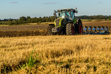 Agriculture plowing tractor on wheat cereal fields