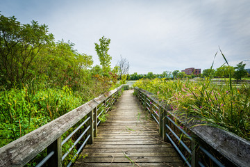 Boardwalk trail in a wetland, at Rivergate City Park, in Alexand