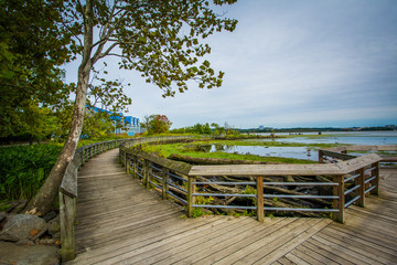 Obraz na płótnie Canvas Boardwalk trail in a wetland, at Rivergate City Park, in Alexand