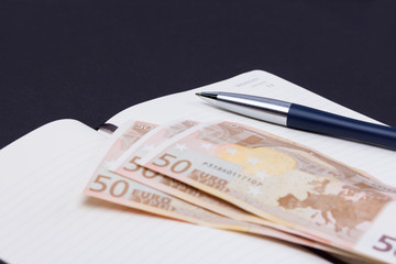 Open daily planner with luxury ball pen and some euro banknotes