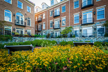 Fototapeta na wymiar Flowers and apartment buildings in Alexandria, Virginia.