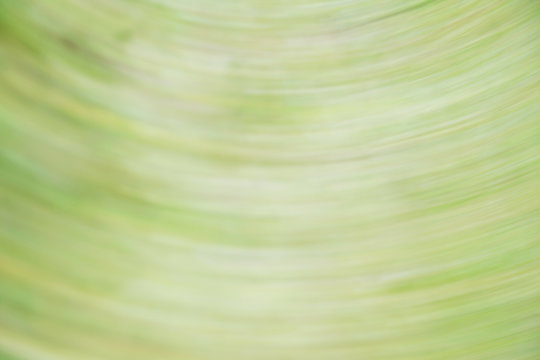Abstract green tone background in the radial movement. Actual photography.