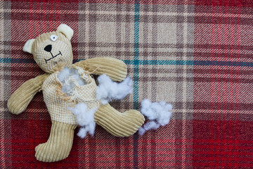 A sad, abandoned teddy bear with stuffing and filling falling from his ripped and torn, damaged...